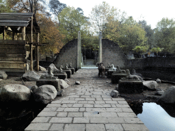 Sphinxes and Barbary Sheep at the City of Antiquity at the DierenPark Amersfoort zoo