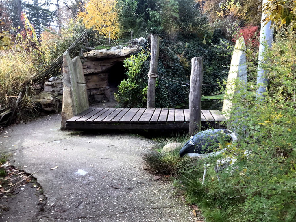 Bridge and Marabou Stork in the Snavelrijk aviary at the DierenPark Amersfoort zoo