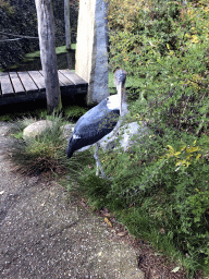 Marabou Stork in the Snavelrijk aviary at the DierenPark Amersfoort zoo