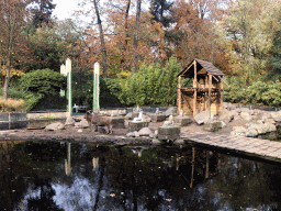 Sphinxes and Barbary Sheep at the City of Antiquity at the DierenPark Amersfoort zoo