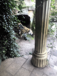 Throne in the Palace of King Darius at the City of Antiquity at the DierenPark Amersfoort zoo