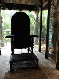 Siberian Tiger and the throne in the Palace of King Darius at the City of Antiquity at the DierenPark Amersfoort zoo