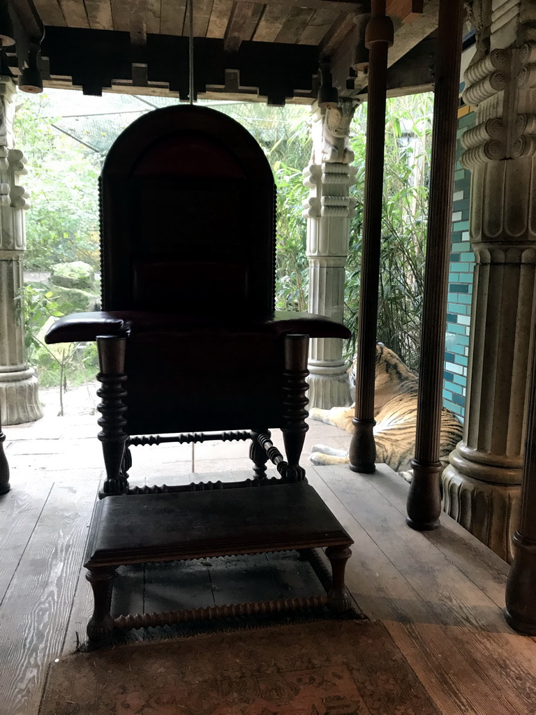 Siberian Tiger and the throne in the Palace of King Darius at the City of Antiquity at the DierenPark Amersfoort zoo