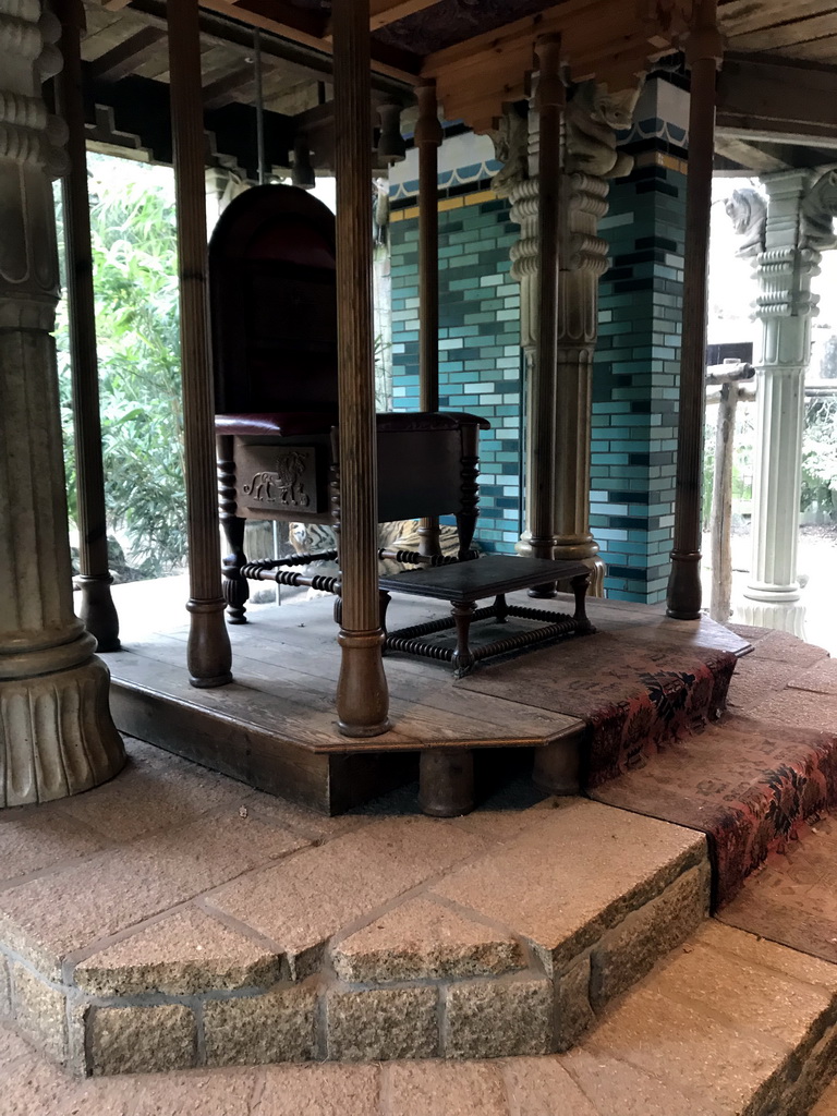 Siberian Tiger and the throne in the Palace of King Darius at the City of Antiquity at the DierenPark Amersfoort zoo