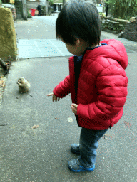 Max with a Prairie Dog at the DierenPark Amersfoort zoo