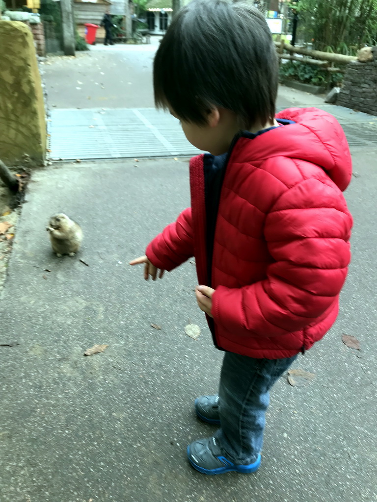 Max with a Prairie Dog at the DierenPark Amersfoort zoo