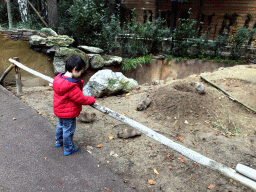 Max with Prairie Dogs at the DierenPark Amersfoort zoo