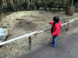 Max with Prairie Dogs at the DierenPark Amersfoort zoo