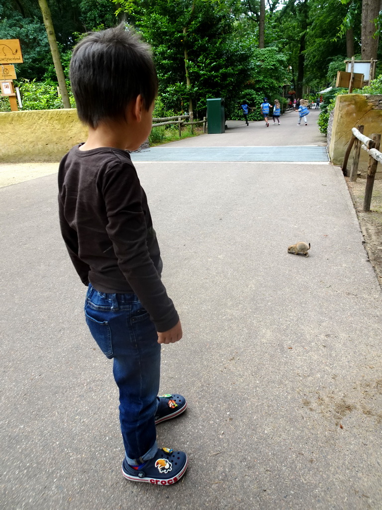 Max with a Prairie Dogs at the DierenPark Amersfoort zoo