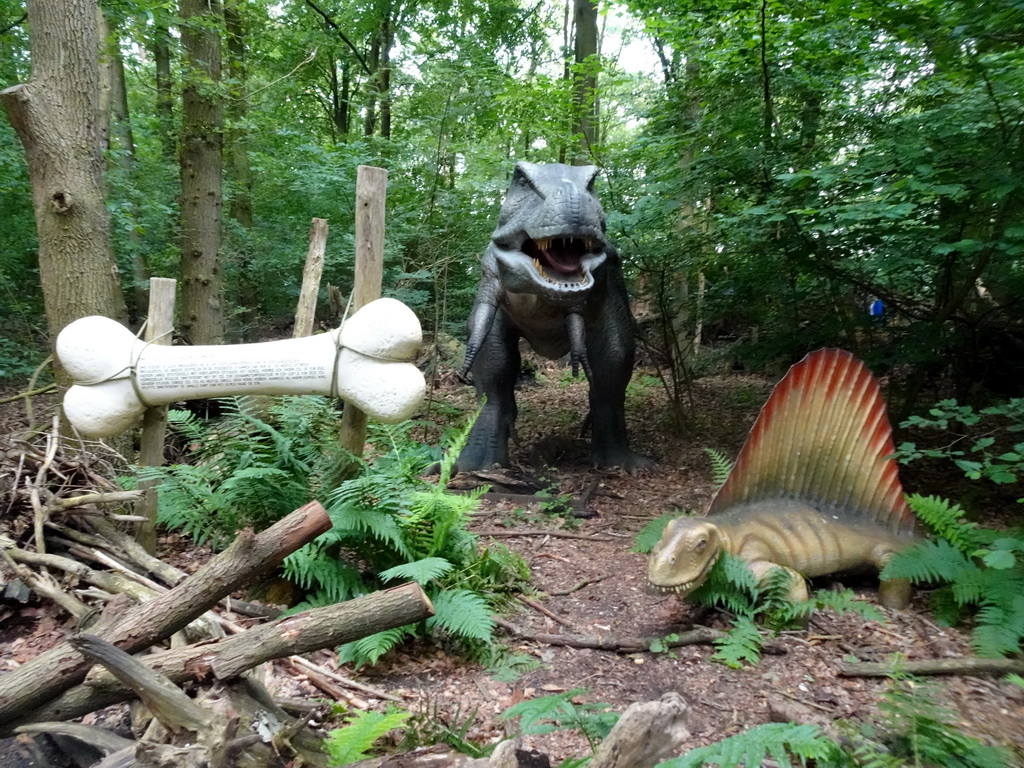 Tyrannosaurus Rex and Dimetrodon statues at the DinoPark at the DierenPark Amersfoort zoo, with explanation