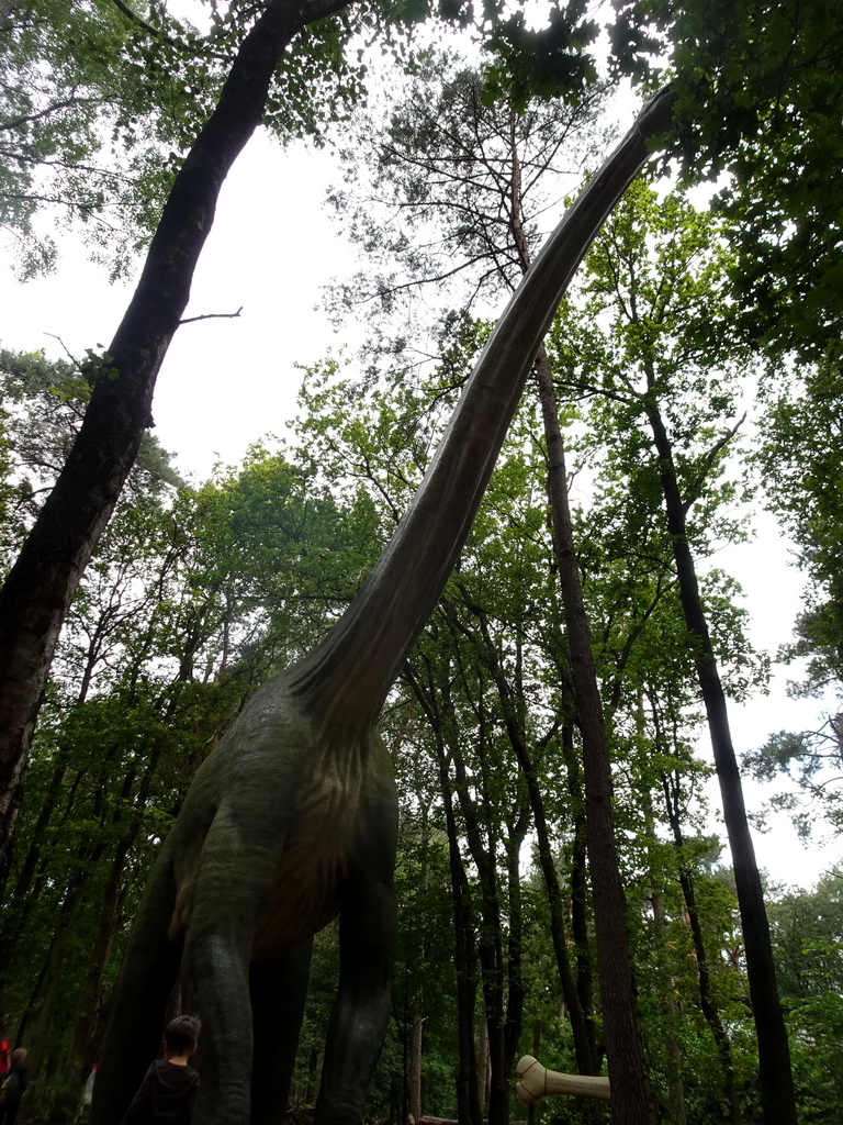 Max with the Brachiosaurus statue at the DinoPark at the DierenPark Amersfoort zoo