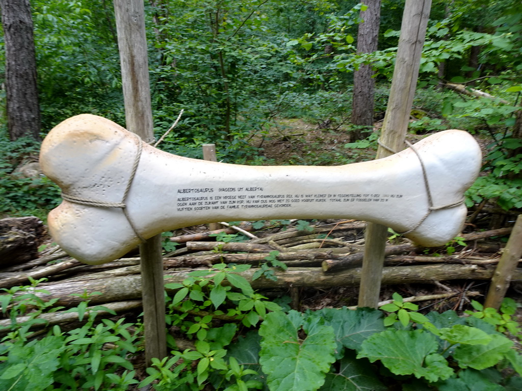 Explanation on the Albertosaurus at the DinoPark at the DierenPark Amersfoort zoo