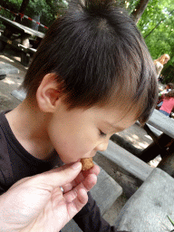 Max eating a frikandel at the terrace of the Huid & Haar restaurant at the DinoPark at the DierenPark Amersfoort zoo