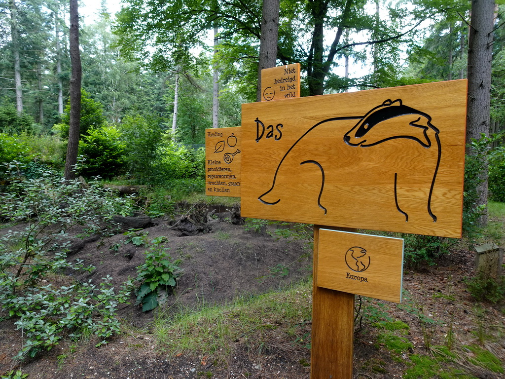 Explanation on the Badger at the Bosbeek area at the DierenPark Amersfoort zoo