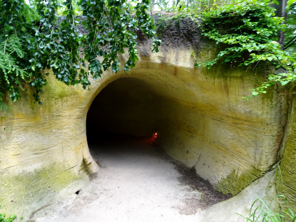 Entrance to the Badger enclosure at the Bosbeek area at the DierenPark Amersfoort zoo