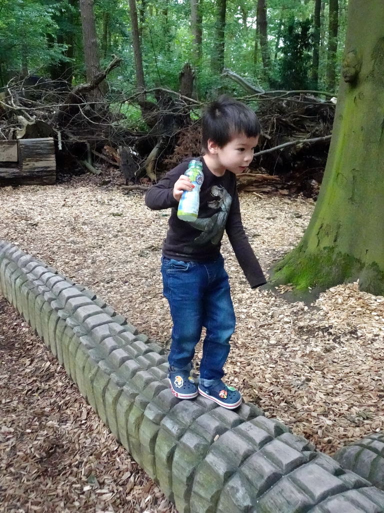 Max on a Crocodile statue at the DinoPark at the DierenPark Amersfoort zoo