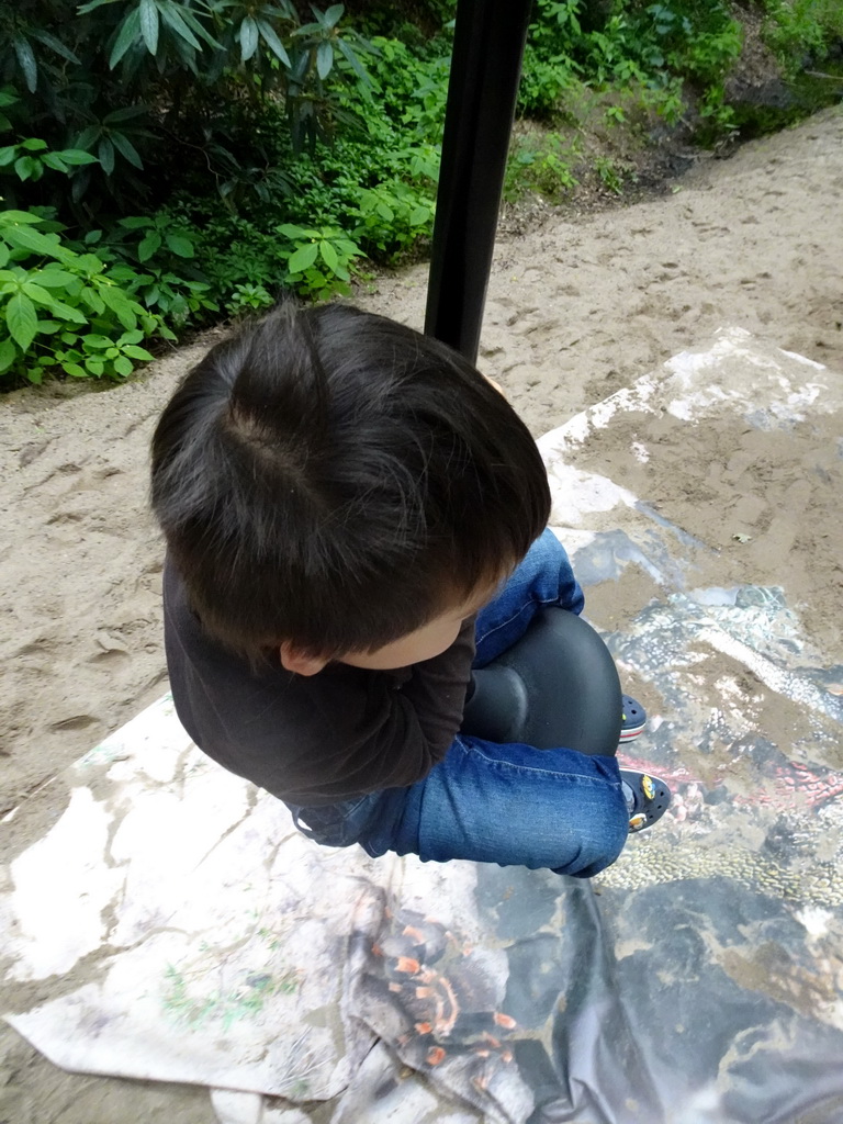 Max on the `Pterovlucht` zip line at the DinoPark at the DierenPark Amersfoort zoo