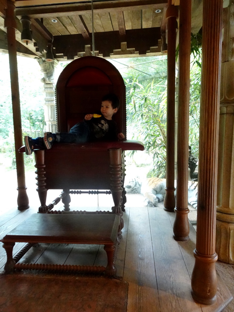 Max with an ice cream on the throne at the Palace of King Darius at the City of Antiquity at the DierenPark Amersfoort zoo, with a view on a Siberian Tiger