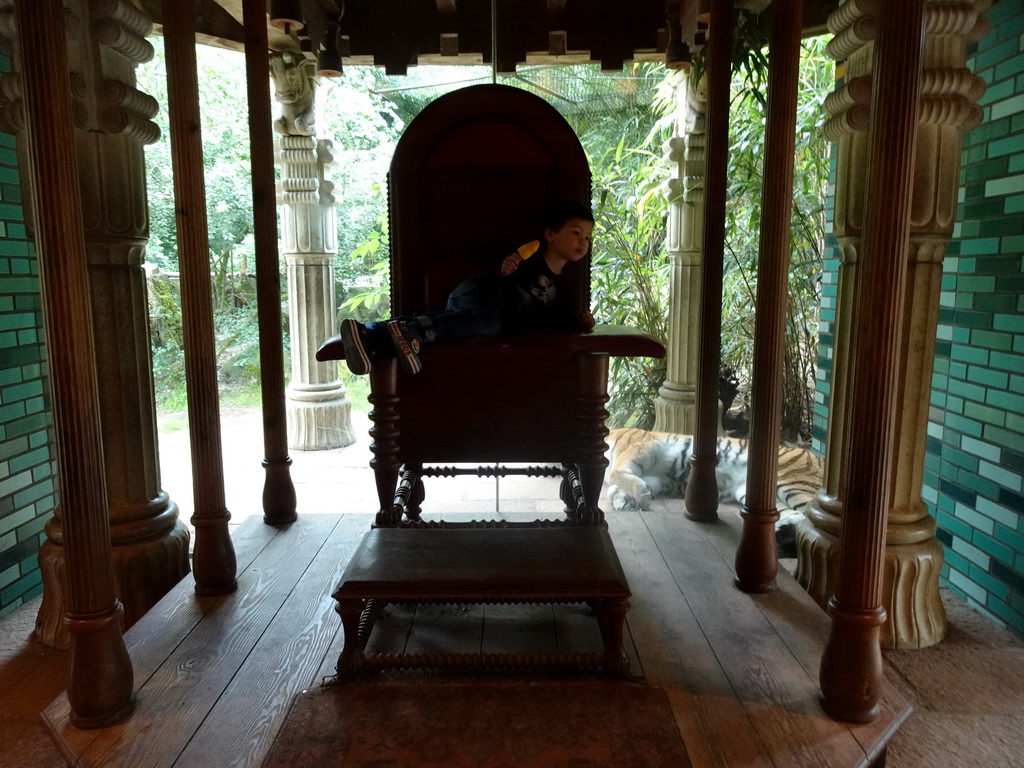 Max with an ice cream on the throne at the Palace of King Darius at the City of Antiquity at the DierenPark Amersfoort zoo, with a view on a Siberian Tiger