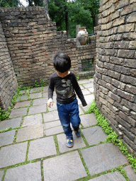 Max at the upper floor of the Lion enclosure at the City of Antiquity at the DierenPark Amersfoort zoo