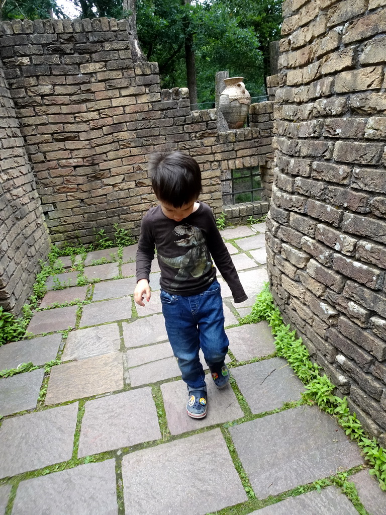 Max at the upper floor of the Lion enclosure at the City of Antiquity at the DierenPark Amersfoort zoo