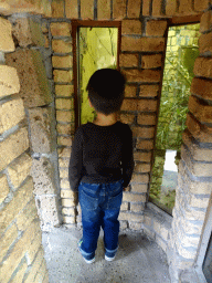 Max looking at Locusts at the City of Antiquity at the DierenPark Amersfoort zoo