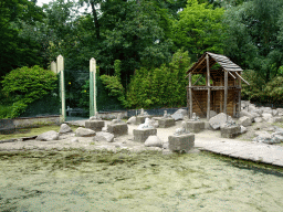 Sphinxes at the City of Antiquity at the DierenPark Amersfoort zoo