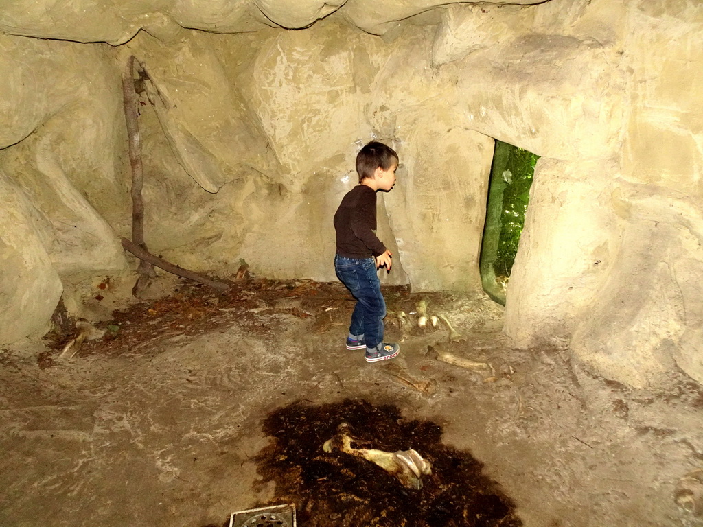 Max in a cave at the City of Antiquity at the DierenPark Amersfoort zoo