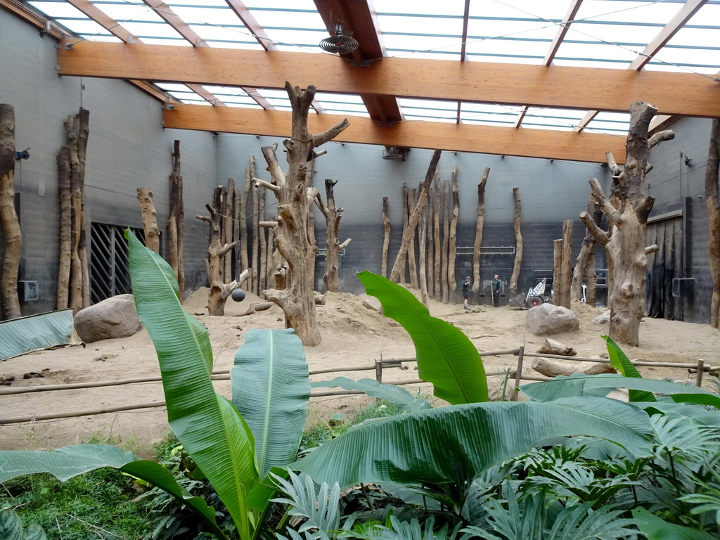 Interior of the enclosure of the Asian Elephants at the DierenPark Amersfoort zoo