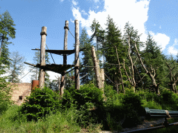 Island with Golden-bellied Capuchins, viewed from the cycle boat on the Expedition River at the DierenPark Amersfoort zoo