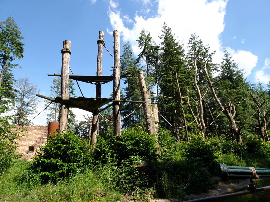 Island with Golden-bellied Capuchins, viewed from the cycle boat on the Expedition River at the DierenPark Amersfoort zoo