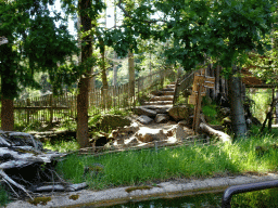 Path and staircase at the Monkey Island at the DierenPark Amersfoort zoo, viewed from the cycle boat on the Expedition River