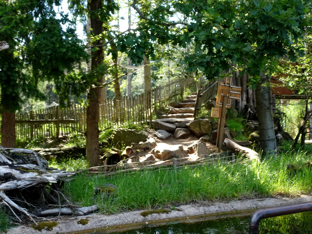 Path and staircase at the Monkey Island at the DierenPark Amersfoort zoo, viewed from the cycle boat on the Expedition River