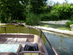 Crocodile statue at the Expedition River at the DierenPark Amersfoort zoo, viewed from the cycle boat