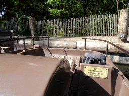 The cycle boat at the end of the Expedition River at the DierenPark Amersfoort zoo