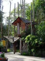 Tree hut at the Siamang enclosure at the DierenPark Amersfoort zoo