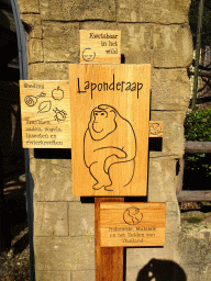 Explanation on the Southern Pig-tailed Macaque at the DierenPark Amersfoort zoo