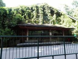 Front of the Chimpanzee enclosure at the DierenPark Amersfoort zoo, viewed from the waiting line for the tourist train