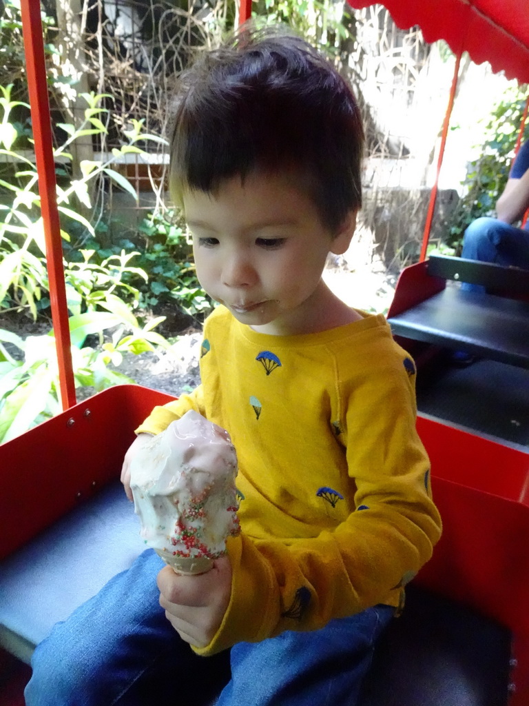 Max with a ice cream in the tourist train at the DierenPark Amersfoort zoo