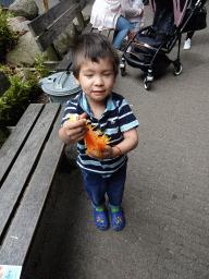 amersfoort_5_004 - 380 kb - 768x1024 - Max with a centipede toy at the DierenPark Amersfoort zoo Max with a centipede toy at the DierenPark Amersfoort zoo