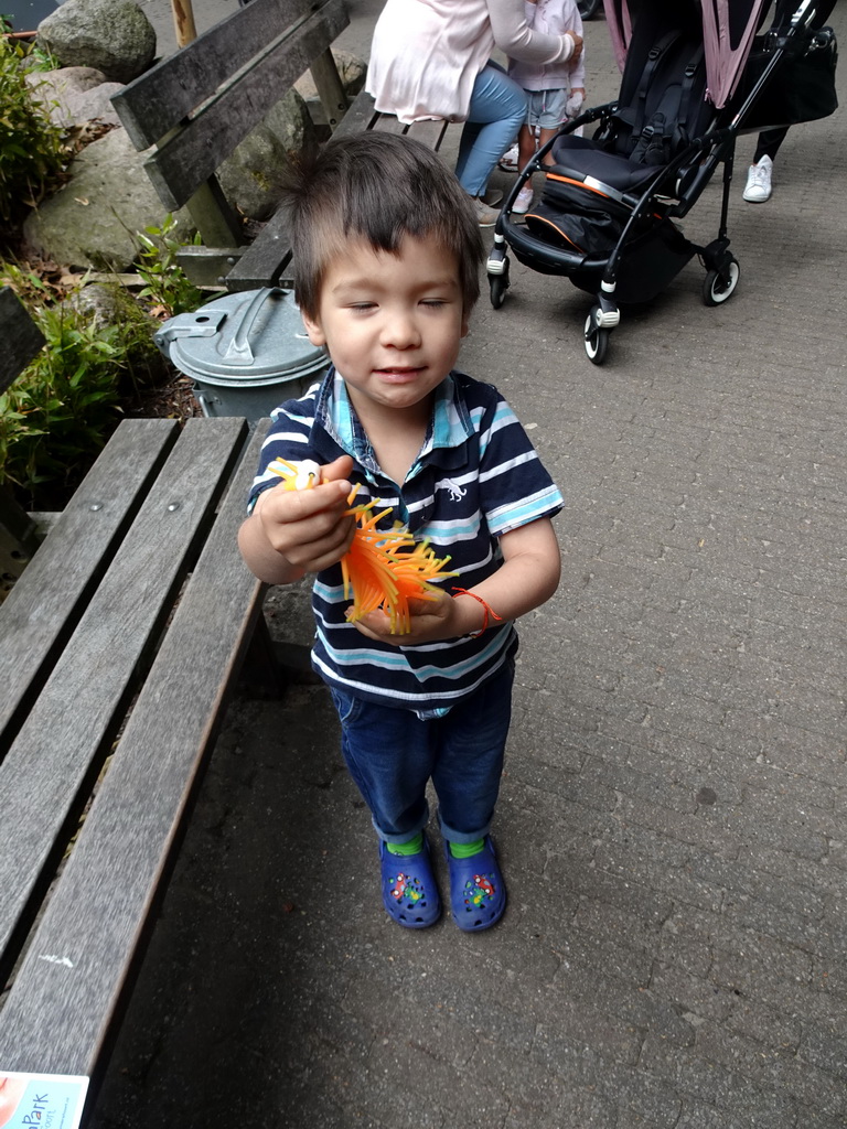 Max with a centipede toy at the DierenPark Amersfoort zoo
