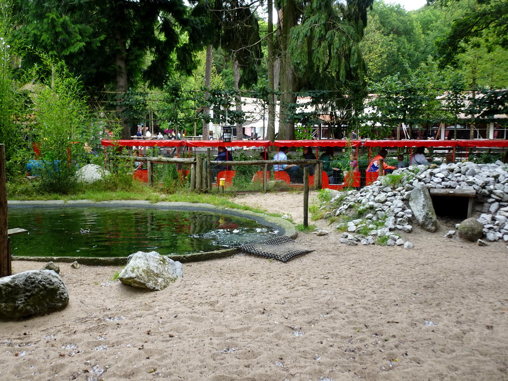 African Penguin enclosure and tourist train at the DierenPark Amersfoort zoo