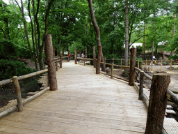 Walking bridge at the Giraffe enclosure at the DierenPark Amersfoort zoo