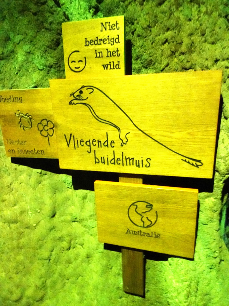 Explanation on the Feathertail Glider at the De Nacht building at the DierenPark Amersfoort zoo