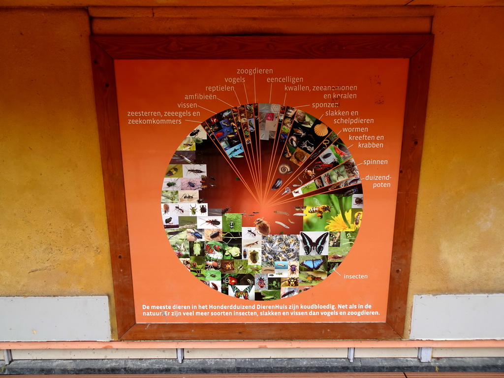 Information on the animal species at the Honderdduizend Dierenhuis building at the DierenPark Amersfoort zoo