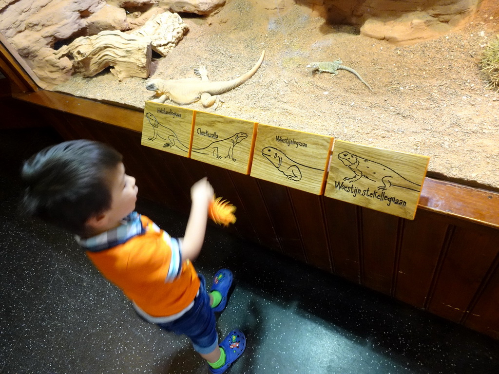 Max with reptiles at the Honderdduizend Dierenhuis building at the DierenPark Amersfoort zoo, with explanation