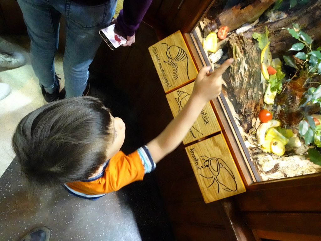 Max with Sun Beetles at the Honderdduizend Dierenhuis building at the DierenPark Amersfoort zoo, with explanation