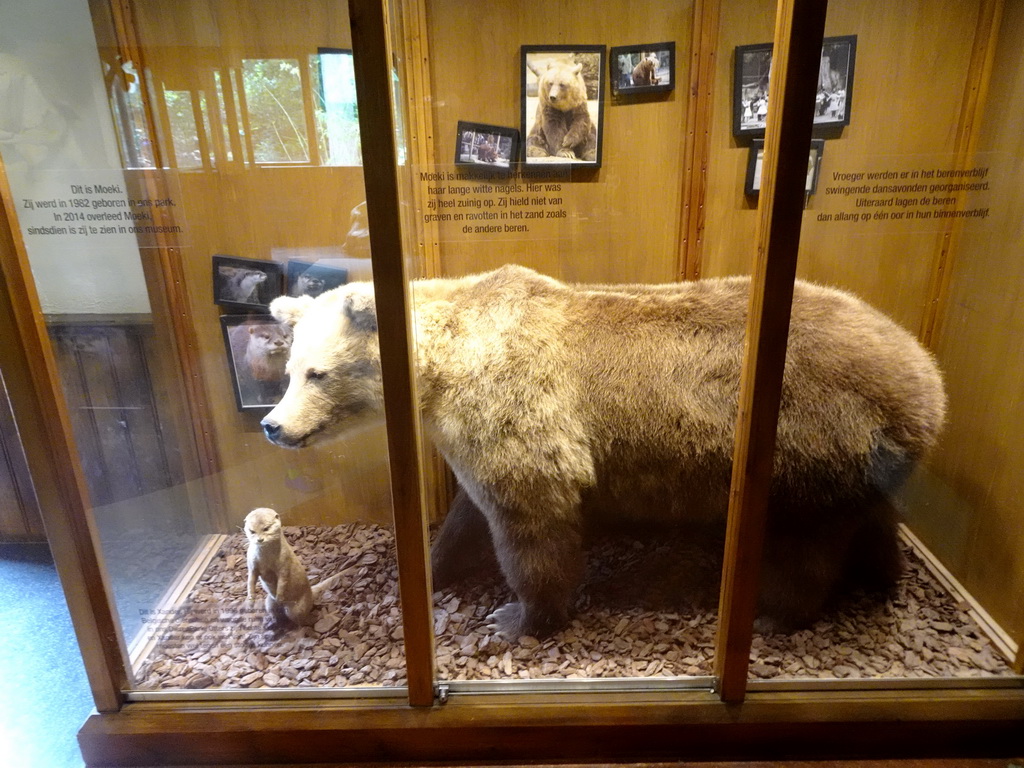 Stuffed Bear `Moeki` and stuffed Otter `Xander` at the Honderdduizend Dierenhuis building at the DierenPark Amersfoort zoo