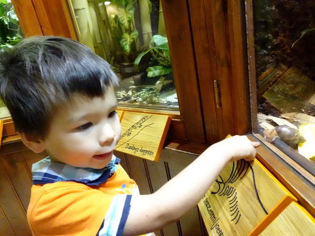 Max with a African Giant Snail at the Honderdduizend Dierenhuis building at the DierenPark Amersfoort zoo