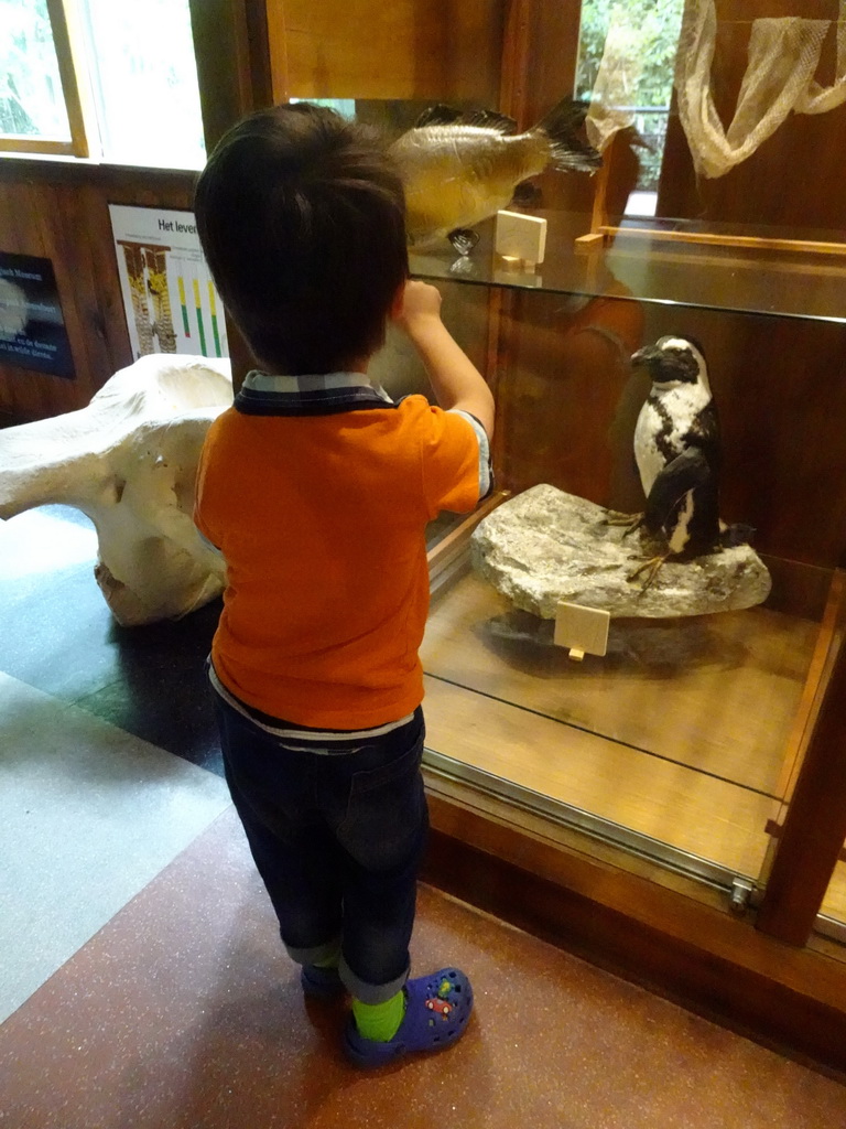 Max with stuffed animals at the Honderdduizend Dierenhuis building at the DierenPark Amersfoort zoo